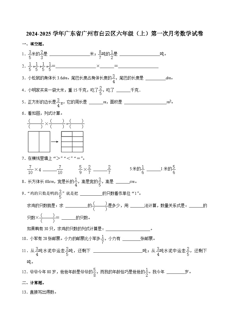 广东省广州市白云区2024-2025学年六年级上学期第一次月考数学试卷第1页