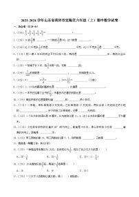 山东省菏泽市定陶区2023-2024学年六年级上学期期中数学试卷