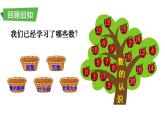 小學數學新西師版一年級上冊第六單元總復習第一課時《數與運算(1)(20以內數的認識)》教學課件2（2024秋）