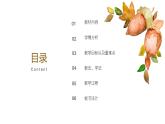 北师大版小学数学二年级下册第四单元《1千米有多长》说课PPT