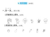 小学数学新北师大版一年级上册第三单元《整理与分类》综合训练课件6（2024秋）