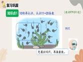人教版（2024秋）数学一年级上册 第四单元 11~20的认识课时二  11~20的认识习题课课件