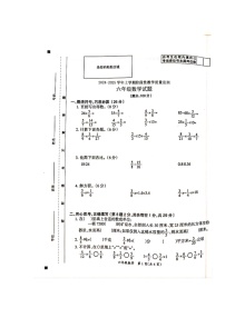 广东省云浮市云城区云浮市实验小学2024-2025学年六年级上学期11月期中数学试题