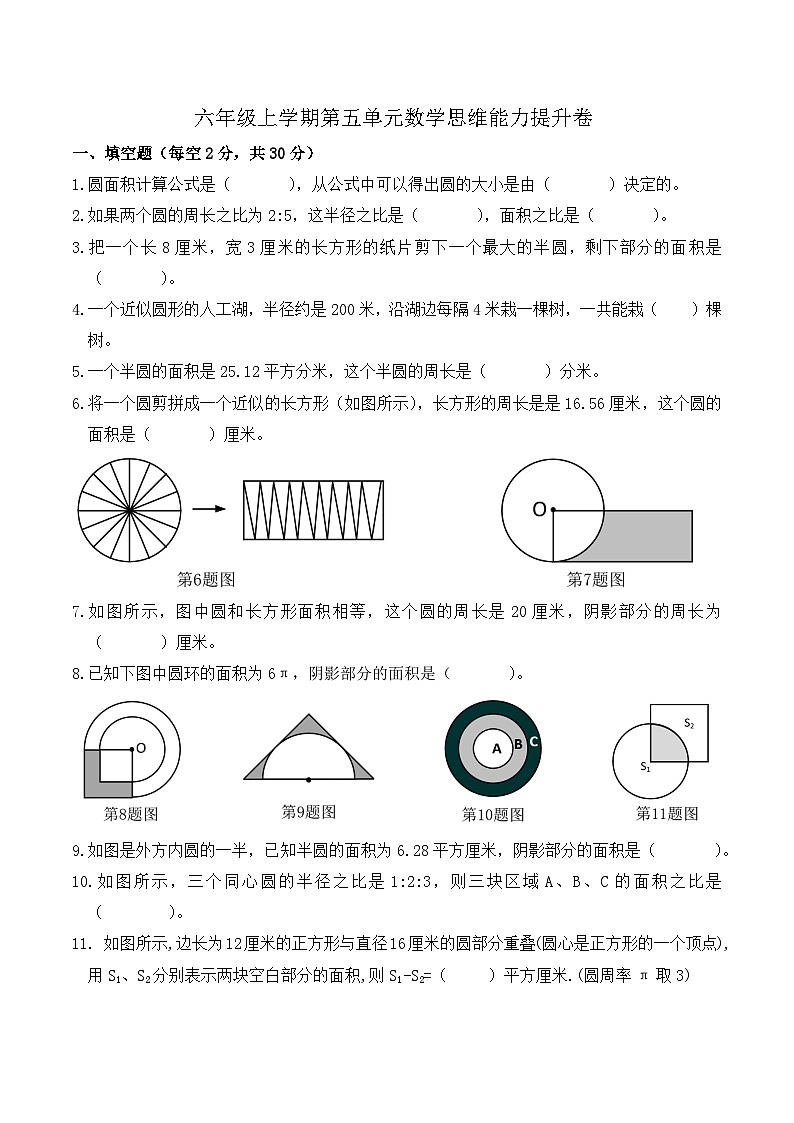 2024年六年级上学期11月第五单元数学思维能力提升卷第1页