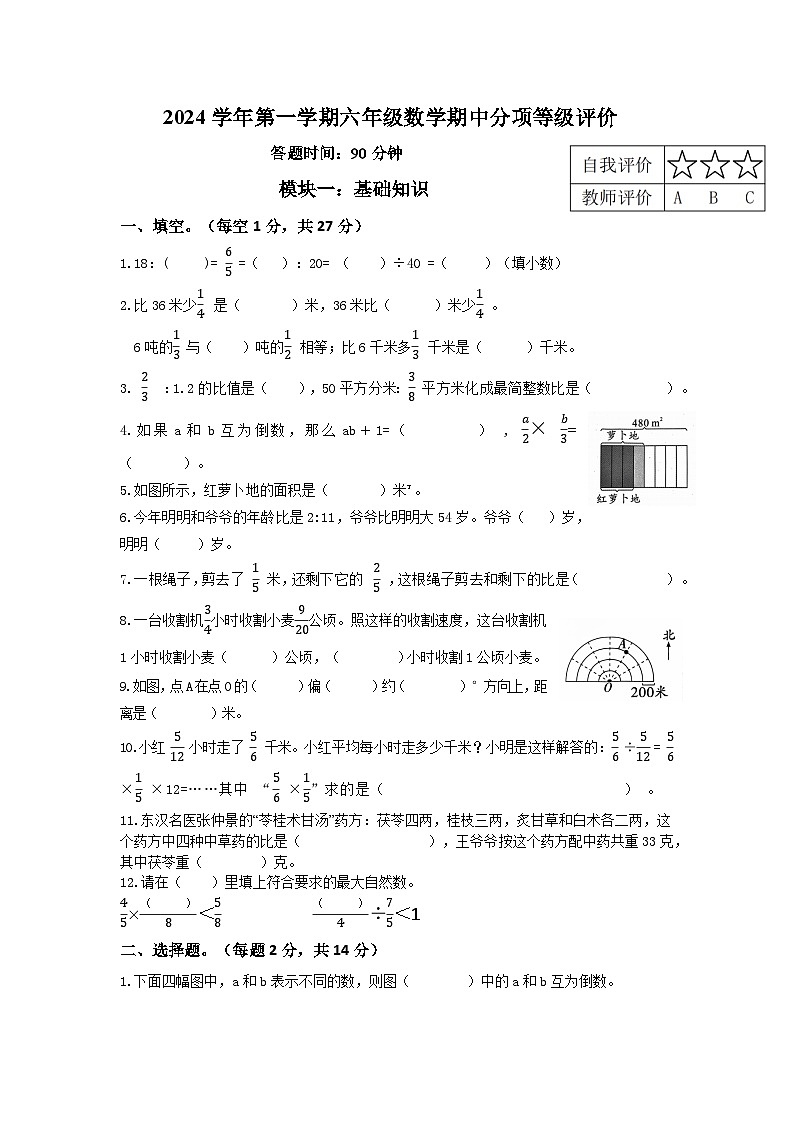 浙江省杭州市临平区2024-2025学年六年级上学期期中数学试题01