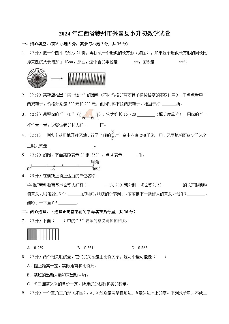 2024年江西省赣州市兴国县小升初数学试卷第1页