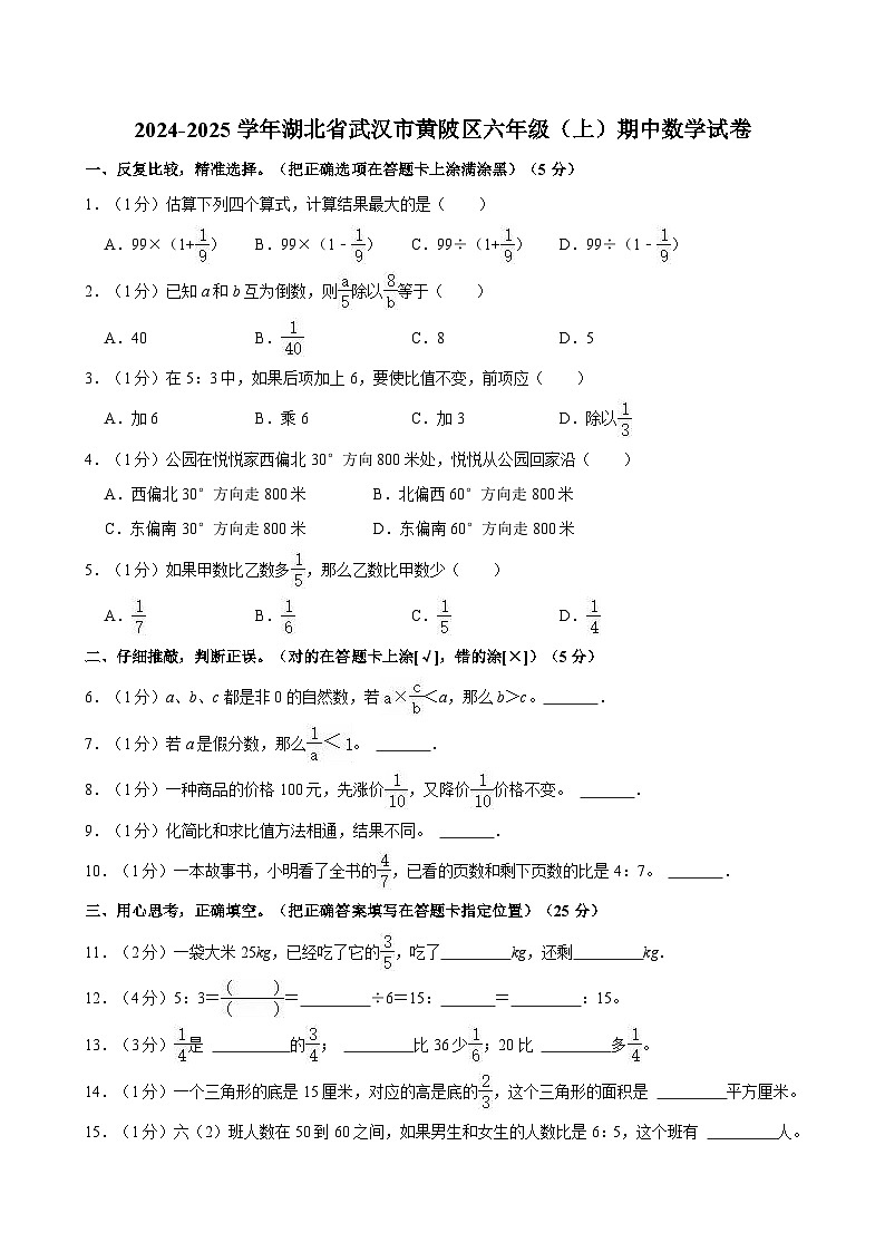 湖北省武汉市黄陂区2024-2025学年六年级上学期期中数学试卷第1页