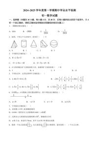 山东省淄博市高新区2024—2025学年六年级(上)期中数学试卷(含答案)