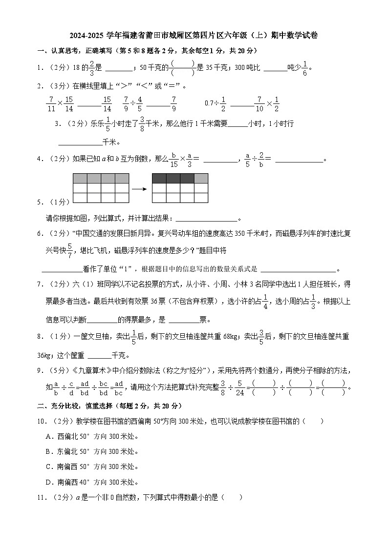 福建省莆田市城厢区第四片区2024-2025学年六年级上学期期中数学试题-A4第1页