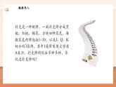【新教材新課標】北師大版數(shù)學一年級上冊-數(shù)學好玩：一起做游戲（課件+教學設(shè)計+導學案+作業(yè)）