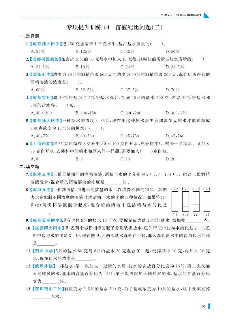 专项提升训练14 溶液配比问题(二)第1页