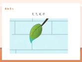 【大單元核心素養(yǎng)】人教版數(shù)學(xué)四年級上冊7.1《條形統(tǒng)計圖(以1當(dāng)1）》（課件+教案+大單元整體教學(xué)設(shè)計）