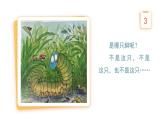 1.1有余數(shù)的除法（課件） 二年級(jí)下冊(cè)數(shù)學(xué)青島版