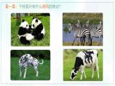 《線描畫中的黑白對比》精品課件1