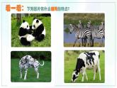 《線描畫中的黑白對比》精品課件2