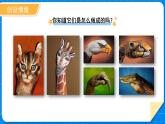 一年級(jí)上冊(cè)數(shù)學(xué)北師大版第四單元《小雞吃食》課件