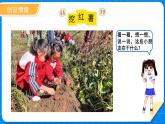 一年級(jí)上冊(cè)數(shù)學(xué)北師大版（2024）第四單元《挖紅薯》課件