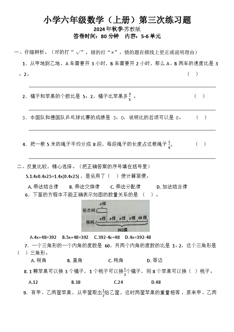 海南省定安县南海学校2024-2025学年六年级上学期5-6单元月考数学试卷第1页