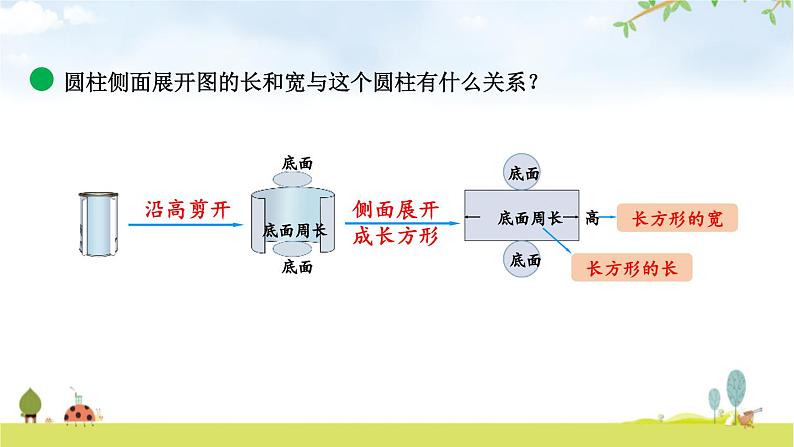 小学数学北师大版六年级下册 第一单元第二课时 圆柱的表面积（课件）第8页