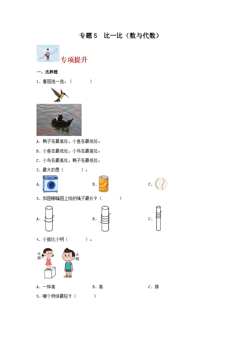 专题训练5 比一比（数与代数）一年级上册数学寒假专项提升（苏教版）第1页