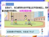 蘇教版數(shù)學(xué)六年級(jí)下冊第六單元綜合與實(shí)踐《大樹有多高》課件