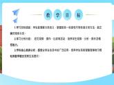 西師大版一年級下冊數學第五單元1《分一分》課件+教案