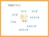 人教版數(shù)學(xué)六下6.17《統(tǒng)計》（1）課件