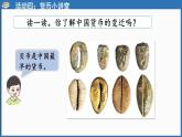 西師大版（2024）一年級(jí)下冊(cè)數(shù)學(xué)下冊(cè)--綜合與實(shí)踐   歡樂(lè)購(gòu)物街  活動(dòng)四  貨幣小講堂 （課件）