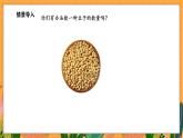 4.3 数豆子（课件）-2024-2025学年一年级下册数学北师大版