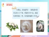 【核心素養(yǎng)】北師大版小學(xué)數(shù)學(xué)四年級下冊 第三單元《蠶絲》課件