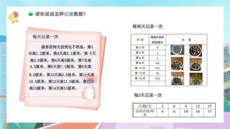 【核心素养】北师大版小学数学四年级下册 第六单元《栽蒜苗（一）》课件第4页