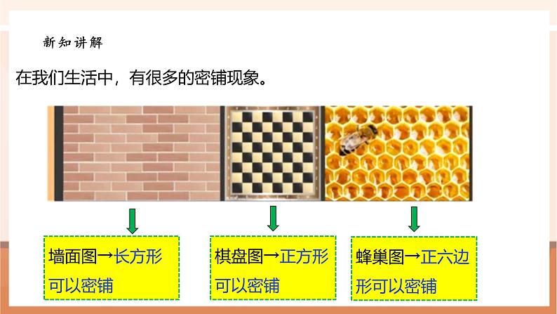 《数学好玩.1密铺》课件第8页