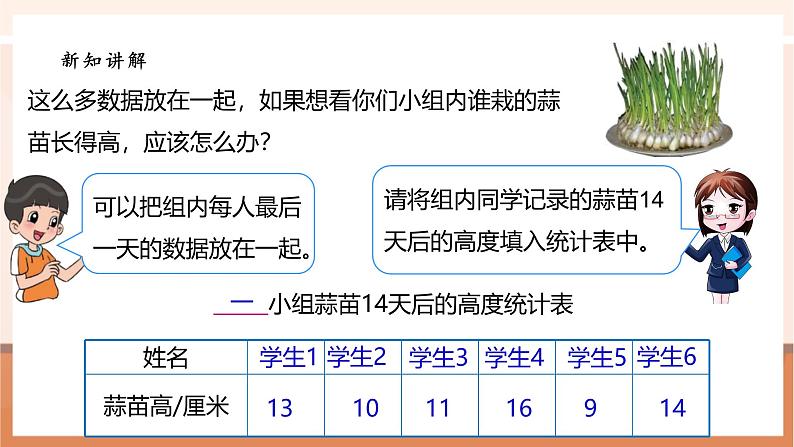 《6.2栽蒜苗（一）》课件第6页