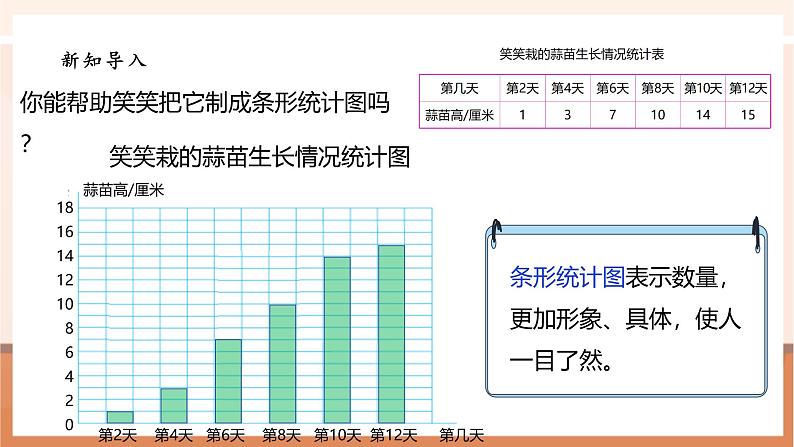 《6.3栽蒜苗（二）》课件第4页