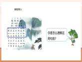 【大單元核心素養(yǎng)】蘇教版數(shù)學(xué)四上3.1《觀察物體（一）》（課件+教案+大單元整體教學(xué)設(shè)計(jì)）