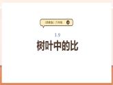 【大单元核心素养】苏教版数学六上3.9《树叶中的比》（课件+教案+大单元整体教学设计）