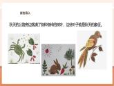 【大单元核心素养】苏教版数学六上3.9《树叶中的比》（课件+教案+大单元整体教学设计）