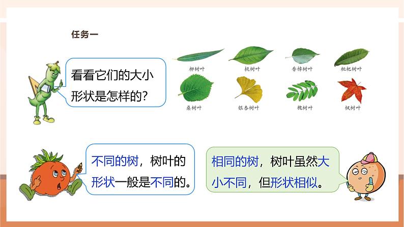 《树叶中的比》课件第8页