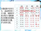 北師大版六年級(jí)數(shù)學(xué)下冊(cè)數(shù)學(xué)好玩第3課時(shí)《可愛(ài)的小貓》課件+教案