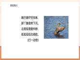 【大单元核心素养】北师大版数学一年级上册1.1.1《走进美丽乡村》（课件+教案+大单元整体教学设计）