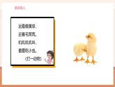 【大單元核心素養(yǎng)】北師大版數(shù)學(xué)一年級(jí)上冊(cè)4.5《小雞吃食》（課件+教案+大單元整體教學(xué)設(shè)計(jì)）