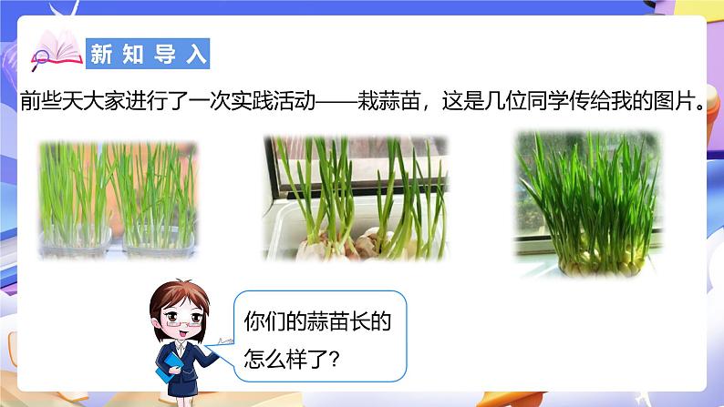 北师大版数学四年级下册 6.2《栽蒜苗（一）》课件第3页