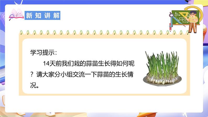 北师大版数学四年级下册 6.2《栽蒜苗（一）》课件第4页