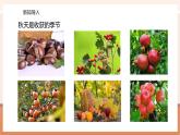 【大单元核心素养】北师大版数学一年级上册0.5《收获的季节》（课件+教案）