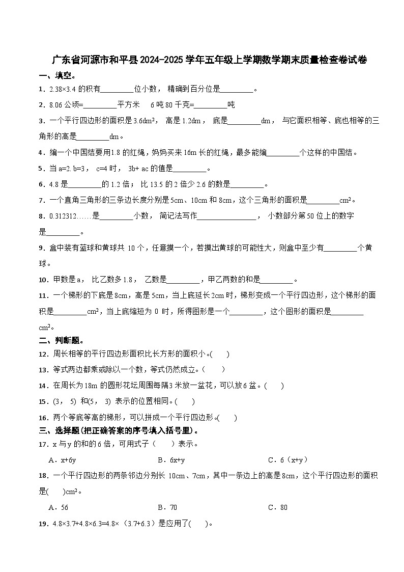 广东省河源市和平县2024-2025学年五年级上学期数学期末质量检查卷试卷第1页