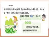 【大单元核心素养】西师大版数学五年级上册3.14《关注“惠农”政策》（课件+教案+大单元整体教学设计）