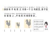 小学数学新北师大版一年级下册第二单元第三课时影子剧场作业课件2025春