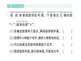 小学数学新北师大版一年级下册综合实践 画数学连环画第2课时画出我的数学故事作业课件2025春