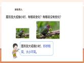 【大单元核心素养】西师大版数学六年级上册5.2《画出放大或缩小的图形》（课件+教案+大单元整体教学设计）