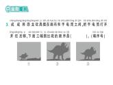小学数学新北师大版一年级下册第二单元第三课时  影子剧场作业课件（2025春）